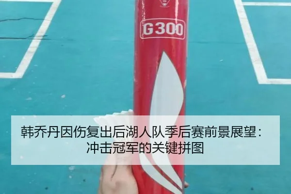韩乔丹因伤复出后湖人队季后赛前景展望：冲击冠军的关键拼图
