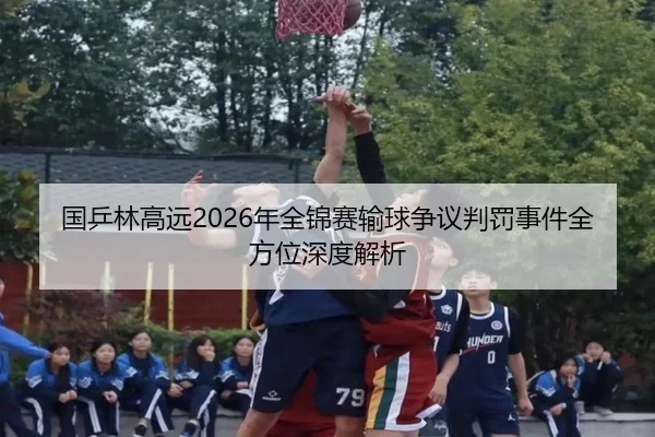 国乒林高远2026年全锦赛输球争议判罚事件全方位深度解析