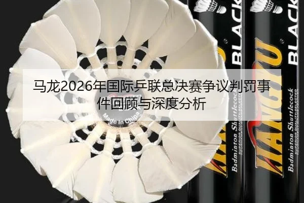 马龙2026年国际乒联总决赛争议判罚事件回顾与深度分析